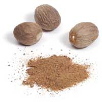 Palia Brothers+Nutmeg